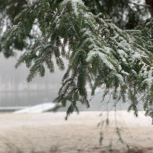 Meet your Posher, Francesca